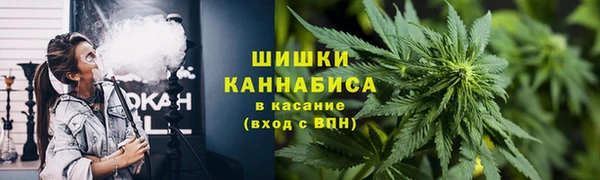 гидропоника Богородицк