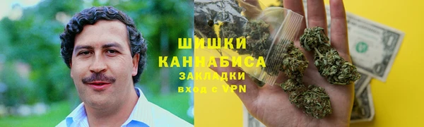 spice Богданович