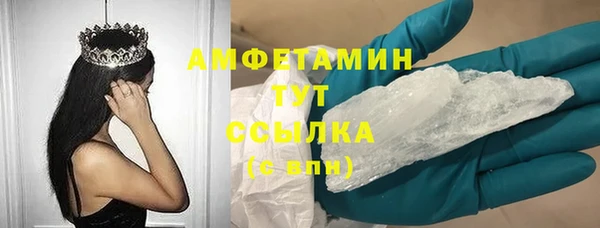 spice Богданович