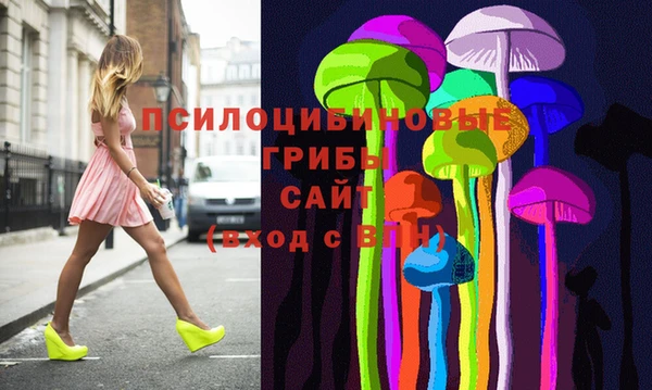spice Богданович