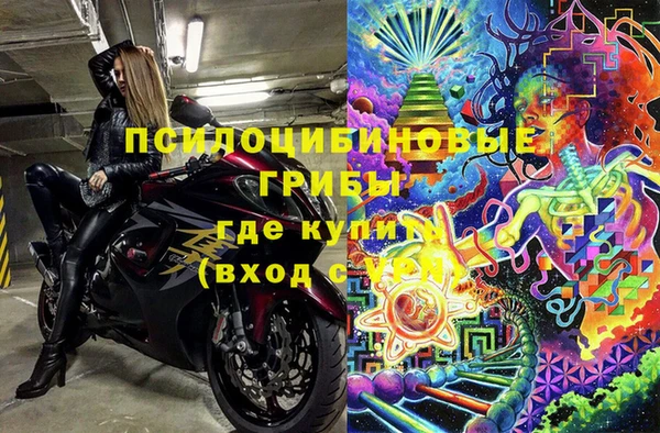 spice Богданович