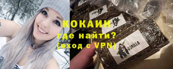 spice Богданович