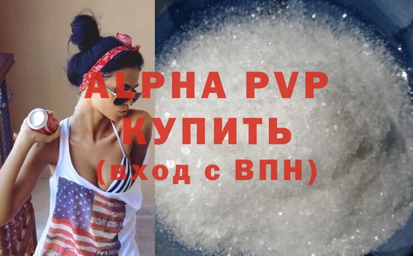 spice Богданович