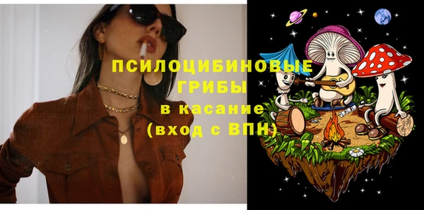 spice Богданович