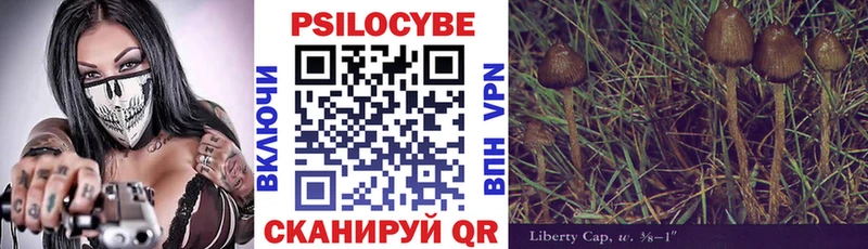 Псилоцибиновые грибы Psilocybine cubensis  где купить наркоту  Ильский 